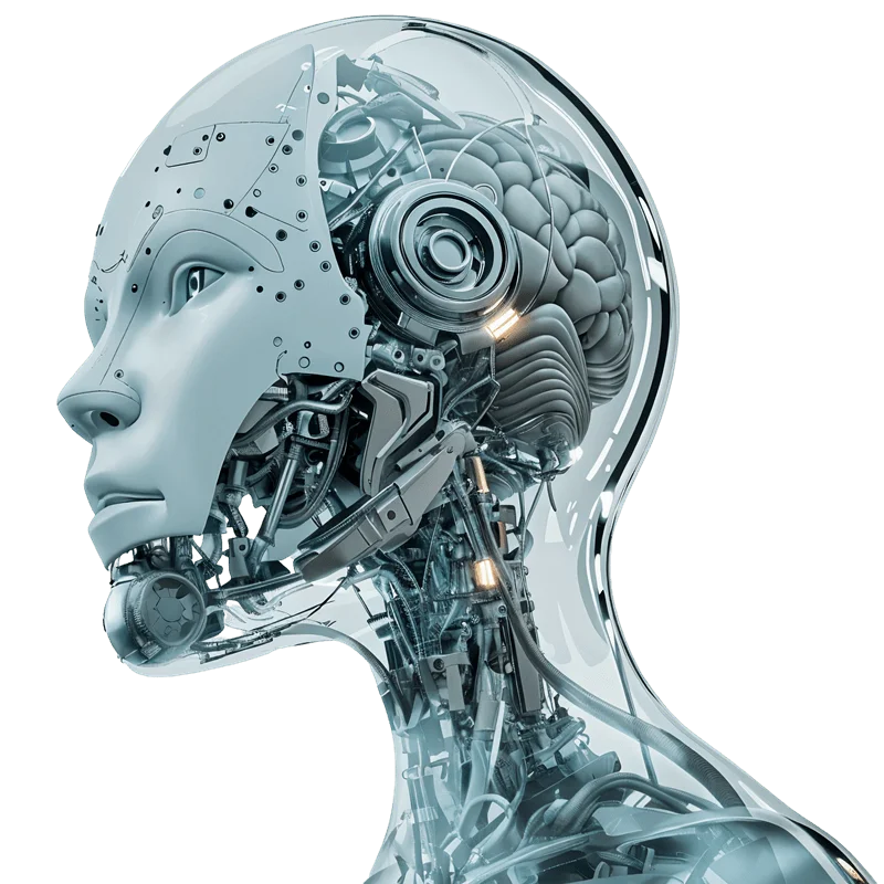 AI & ML Engineering Course